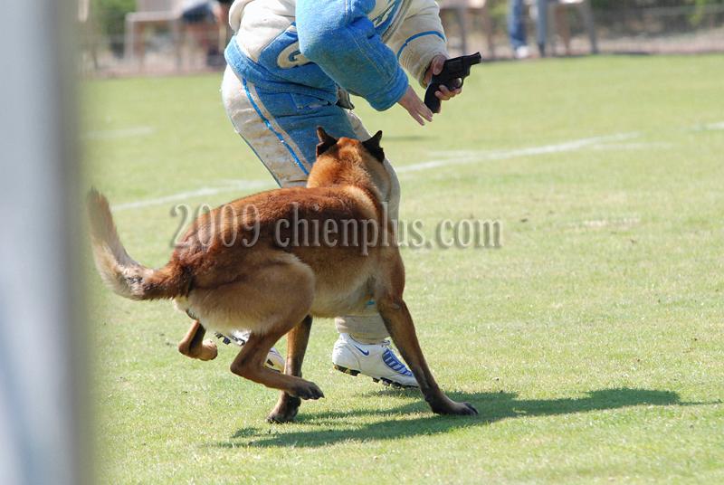 3 EME SELECTIF 2009 GRANDE SYNTHE 147.jpg